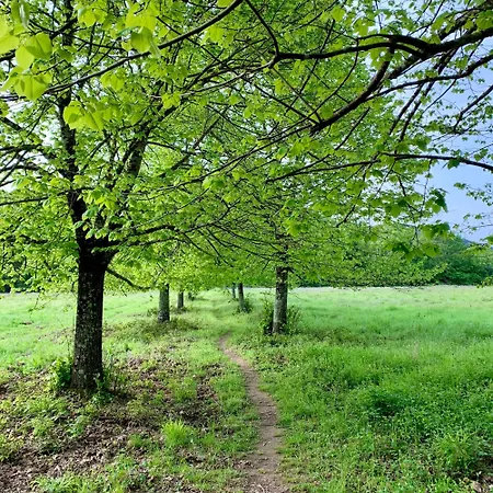 アパート Podere Campalfi, Small Size